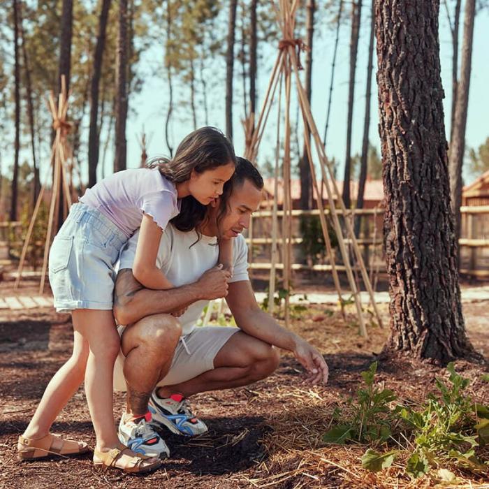 Word een pro in tuinieren