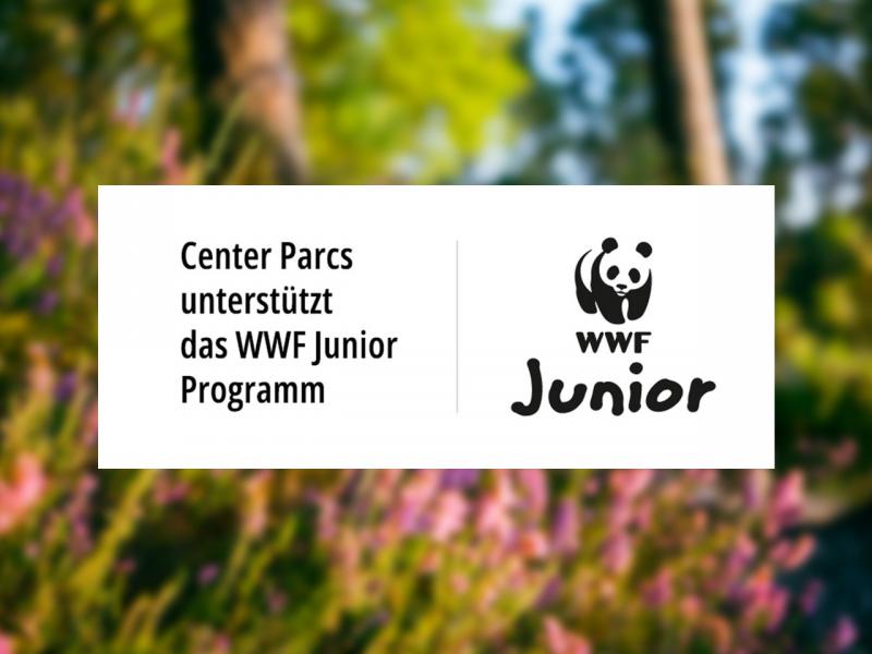 WWF Junior