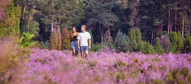 Entdecke die kostbare Umgebung