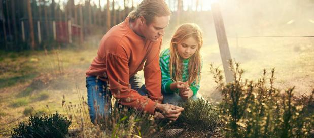 Authentic nature experiences in and around the parks