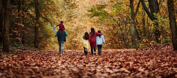 Herfst aanbieding