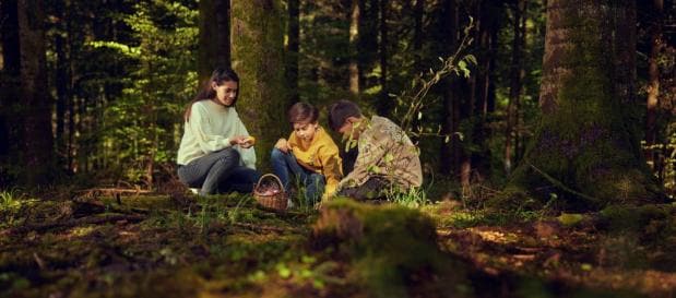 Les Trois Forêts