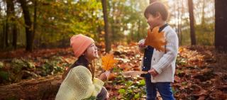 Herfst