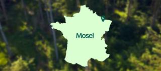 Les Trois Forêts : La Moselle