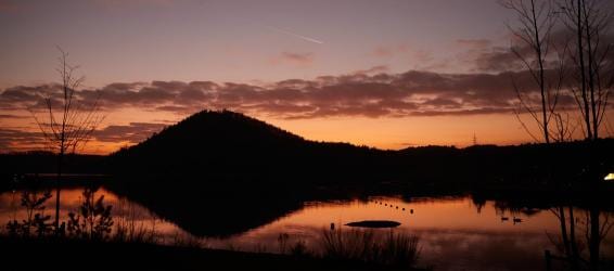 Festival des lumières Luminexus