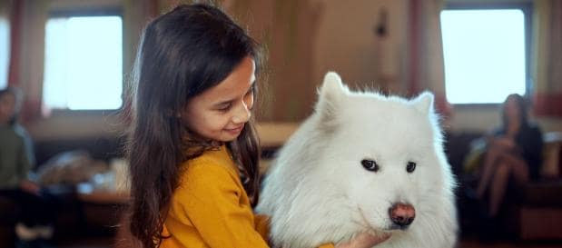 Urlaub mit Hund in Frankreich bei Center Parcs