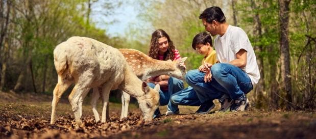 Familienurlaub in La Vienne