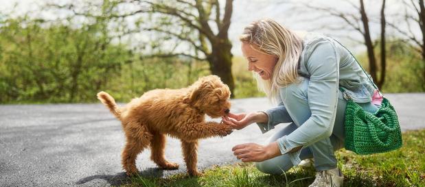 Ferienpark an der Mosel mit Hund