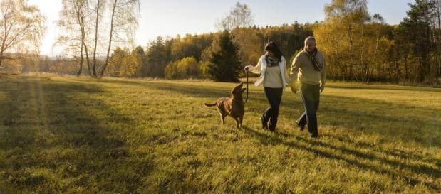 Ferie med hund hos Center Parcs