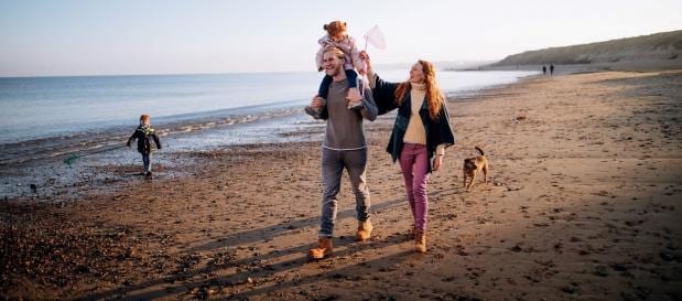 Urlaub mit Hund in Holland am Meer
