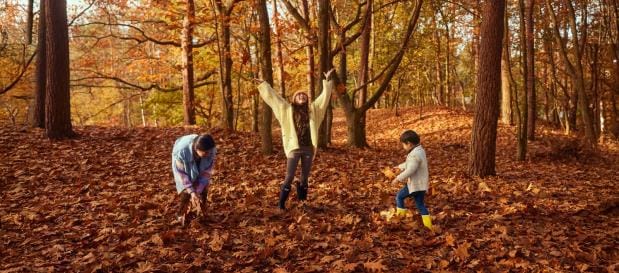 Goldener Herbst