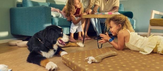 Vacances avec animaux
