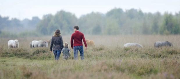 Herfst 10-daagse - Limburgse Peel
