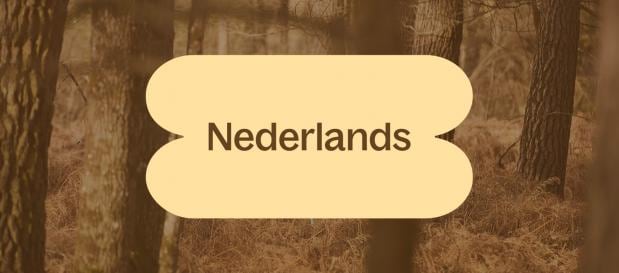 Nederlands