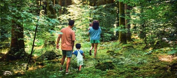 Umgebung des Ferienparks