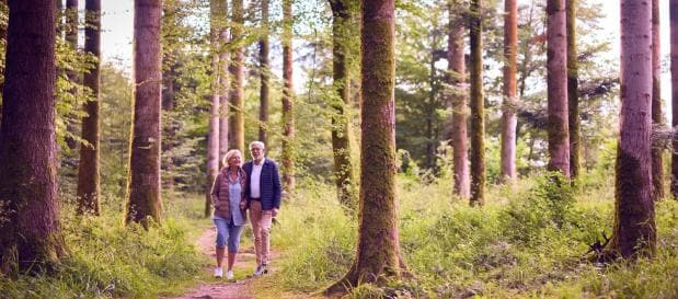 Umgebung des Ferienparks in den Vogesen