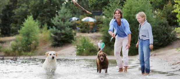 Spaziergang mit Hund am Meer