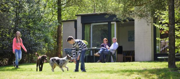 Urlaub in Holland mit Hund