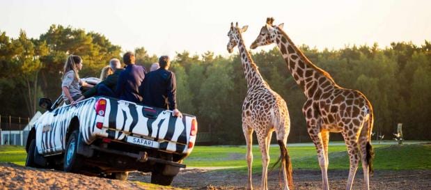 Overnachten dichtbij Plopsa Indoor Coevorden