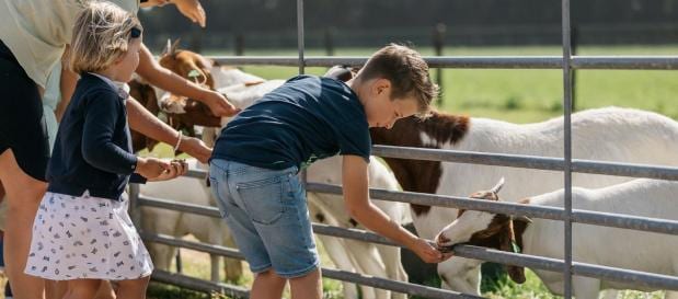 Ausflugsziele mit Kindern in Zeeland