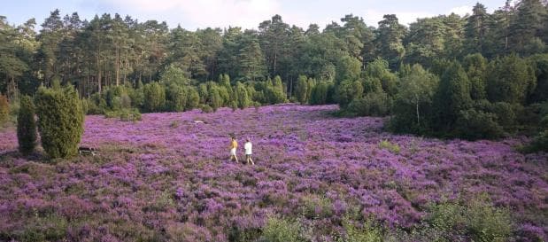 Vandreferie i Nordtyskland