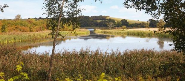 Vandrestier nær Nordborg Resort