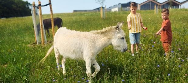 Sommerferie med børn