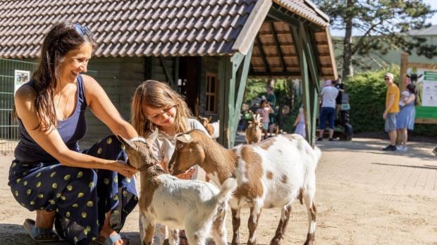 Familienhotel mit Bauernhof