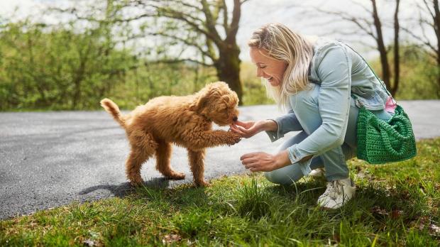 Ferienparks mit Hund in Deutschland