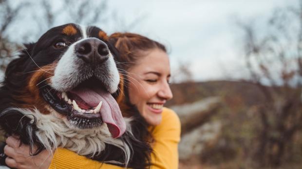 Urlaub in den Bergen mit Hund