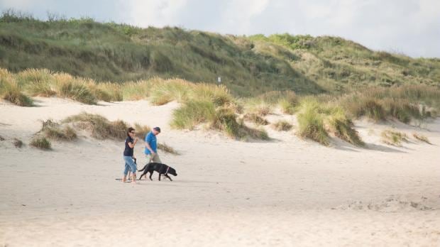 Urlaub mit Kindern und Hund am Meer