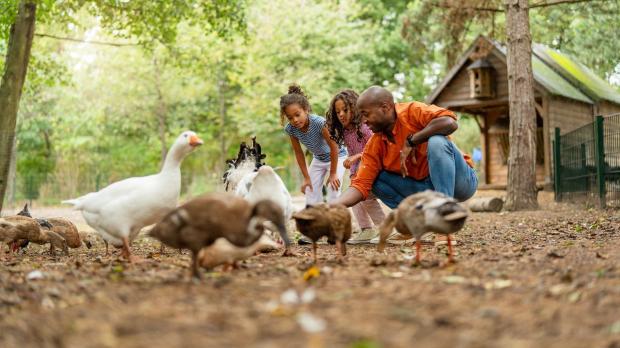 Familienurlaub Belgien