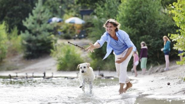 Urlaub mit Hund am Meer in Holland