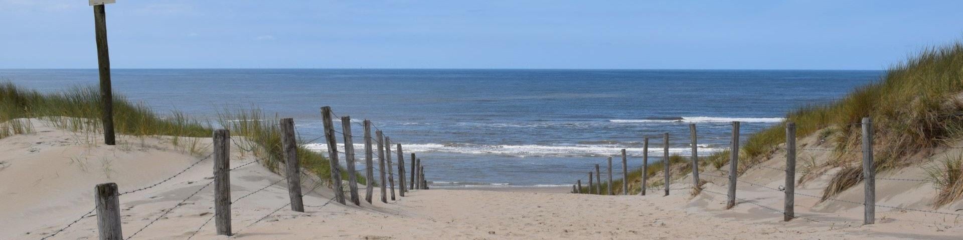 Urlaub mit Hund in Nordholland