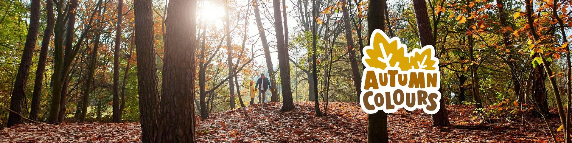 Jouw verblijf in de herfst bij Center Parcs