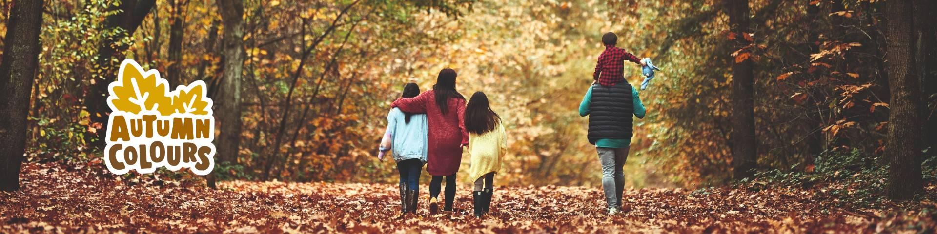 offre automne