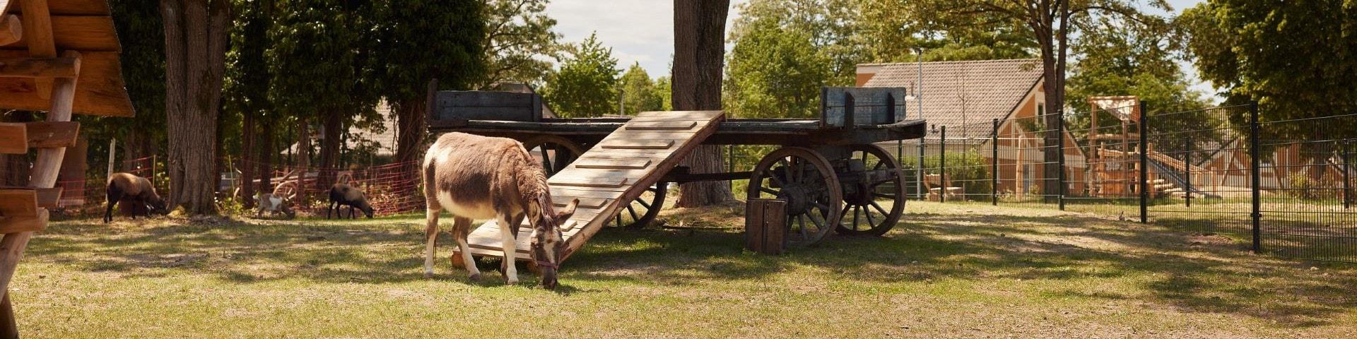 Urlaub auf dem Bauernhof Niedersachsen