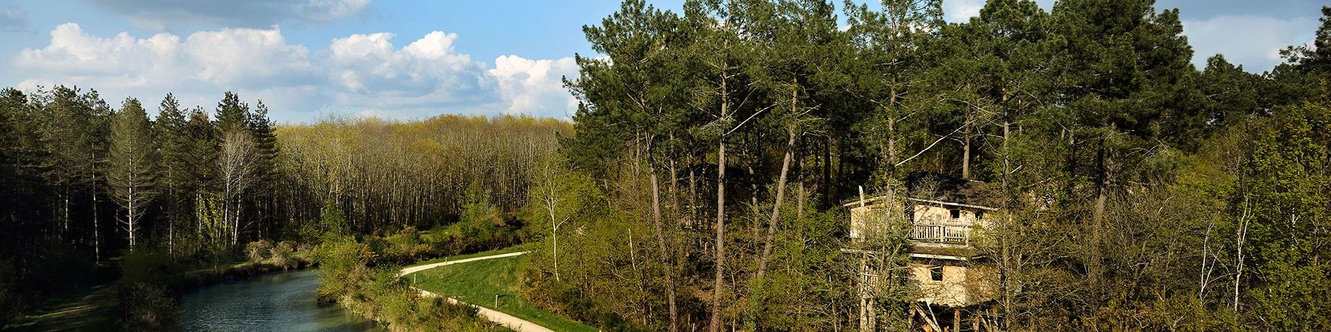 Cabanes dans les arbres pour des vacances en famille