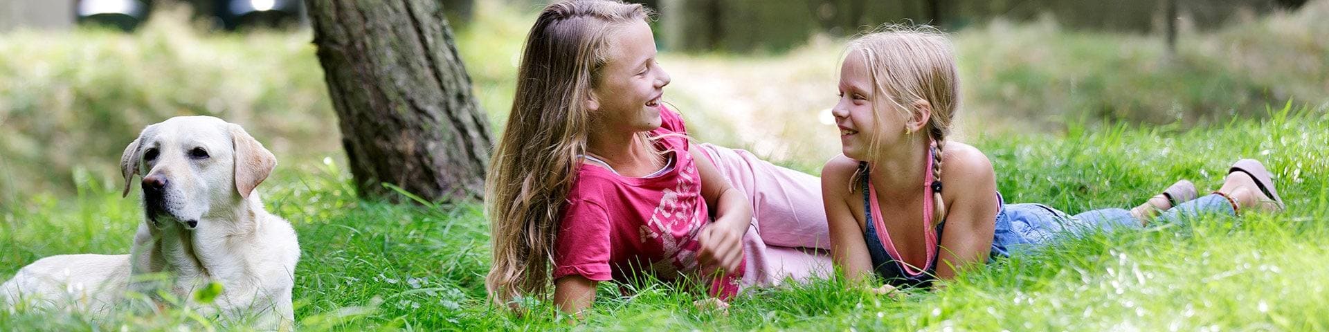vakantiehuizen met hond