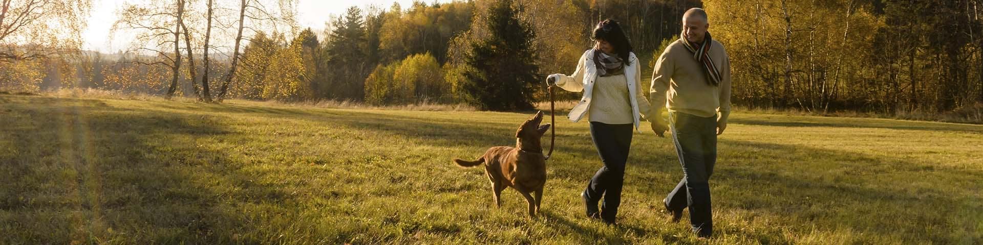 vakantieparken duitsland hond