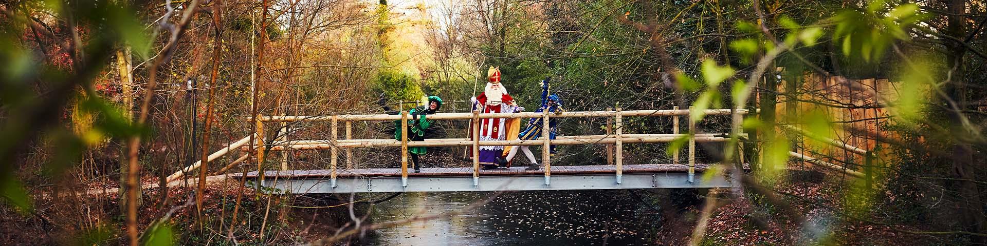 Sinterklaas brug