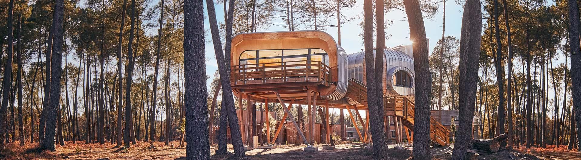 Landes de gascogne visuel