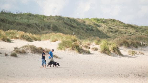 Urlaub mit Hund in Belgien am Meer