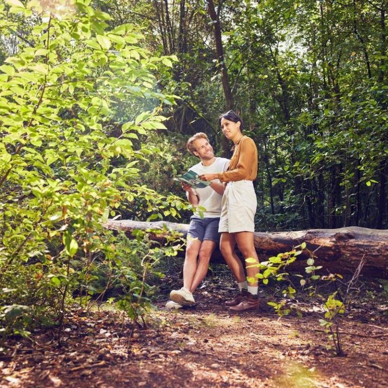 Ferienparks in Deutschland