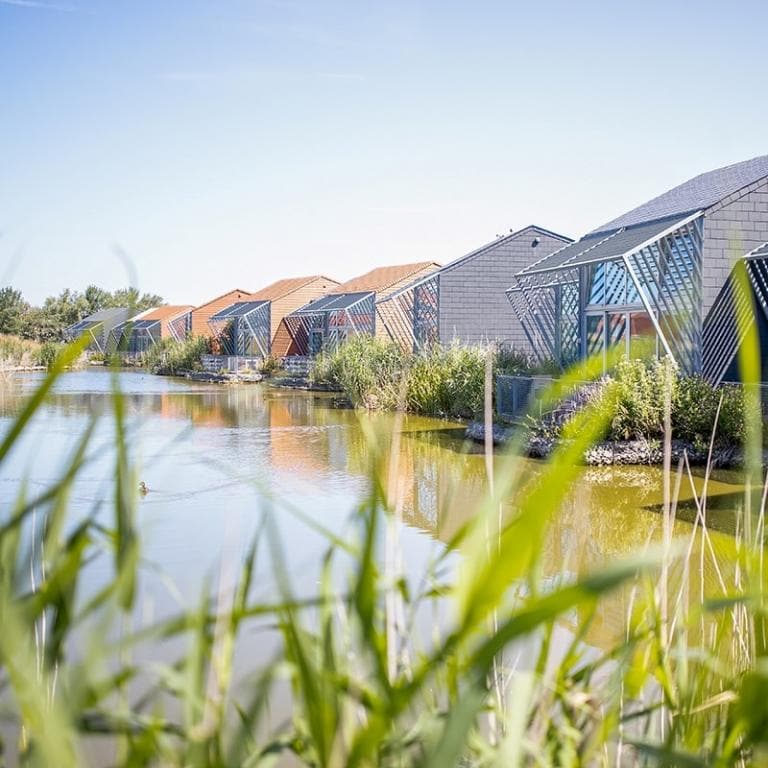 Ferienpark in Belgien am Meer