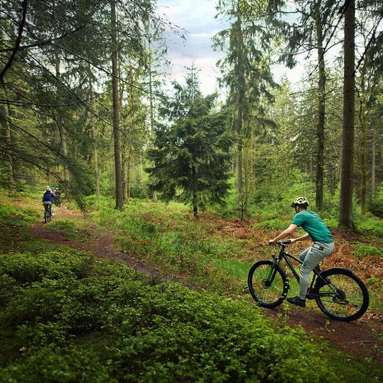 Park Hochsauerland bij Winterberg