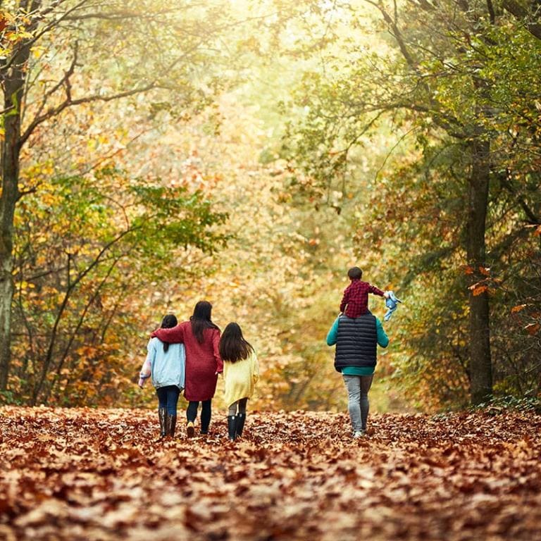 Une famille marche en forêt sous les arbres rougeoyants
