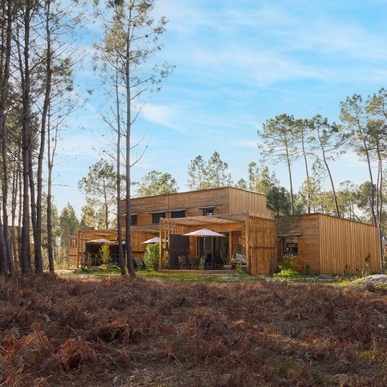 Overnachten in de natuur: van cottages tot boomhutten
