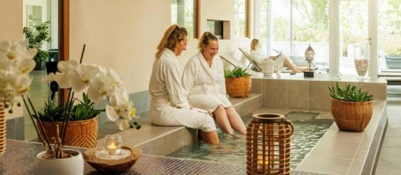 Wellness