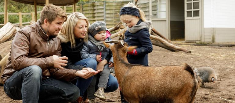 February half-term break